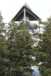 IMG 0179